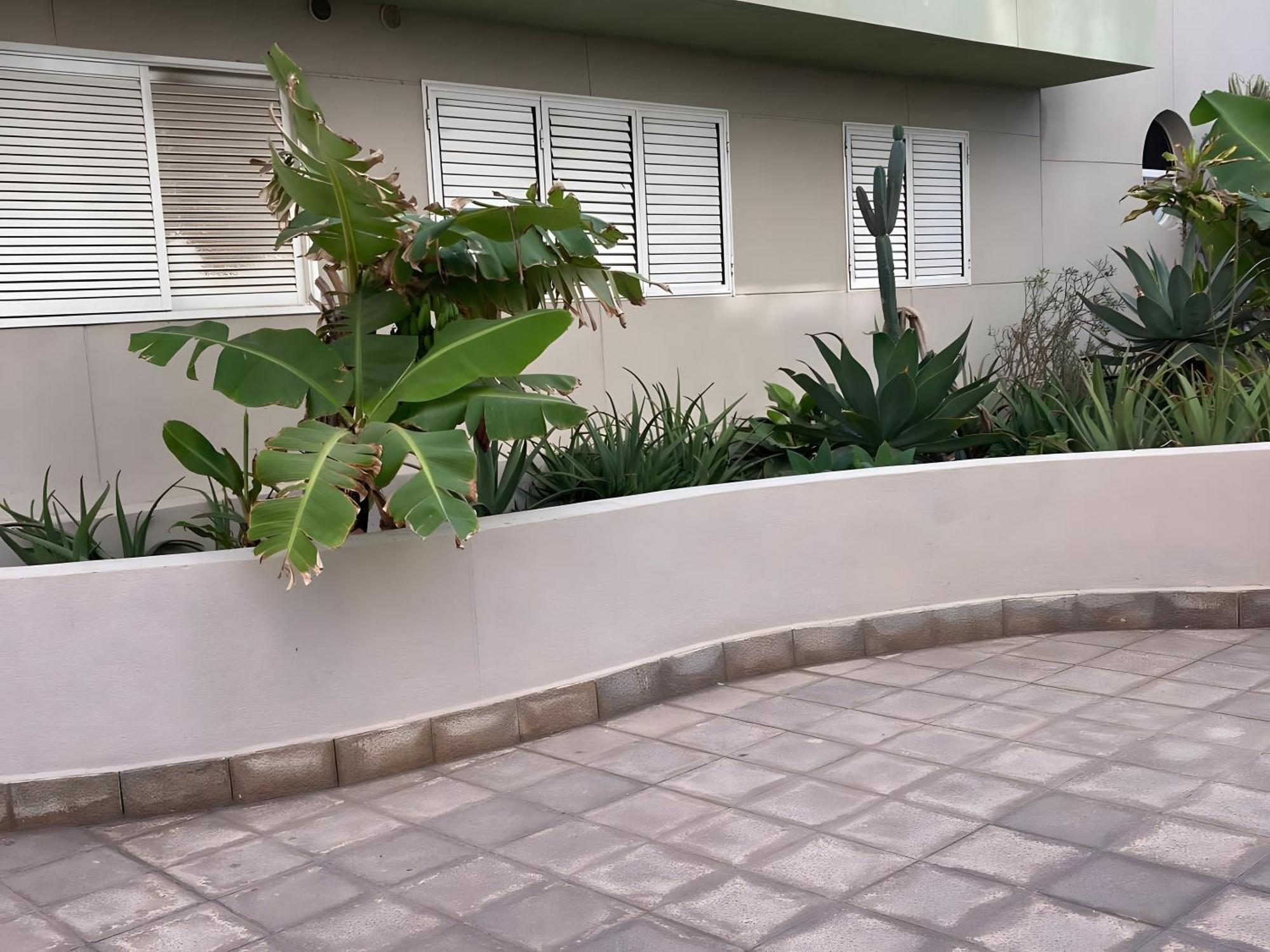 El Medano By Agueita Salada Suites Εξωτερικό φωτογραφία